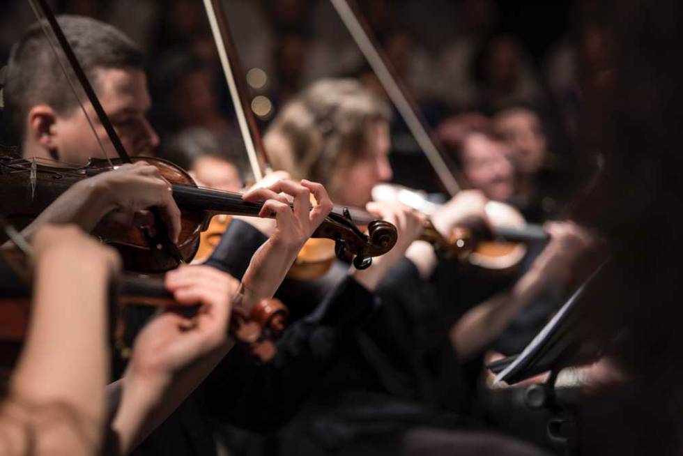 humanos tocando violines