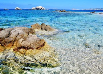 Ahorra en tus vacaciones con estas apps para viajar barato