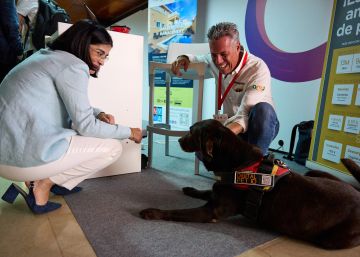 Cómo es emprender en el ámbito de los animales de compañía