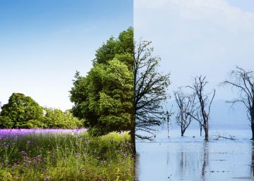 Cambio climático. La preocupación que más crece entre las pymes en 2023