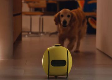 Ballie, el curioso robot inteligente con proyector de Samsung que te ayuda con las tareas