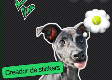 La personalización de los stickers en la aplicación WhatsApp ya es una realidad
