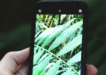 Cómo utilizar tu teléfono o tablet con Android para reconocer cualquier planta