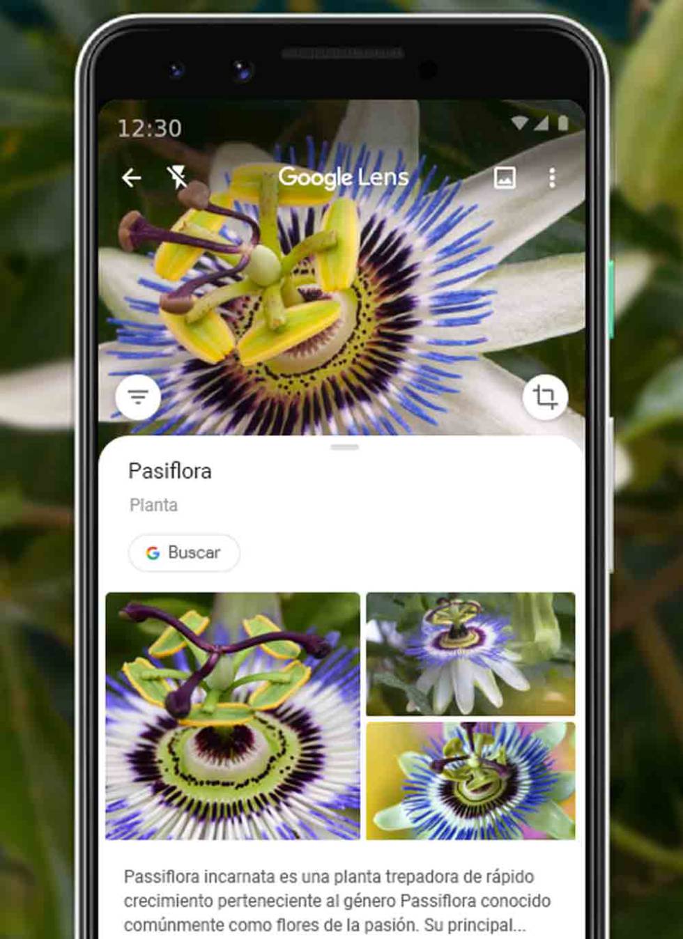 Aplicación Google Lens Android