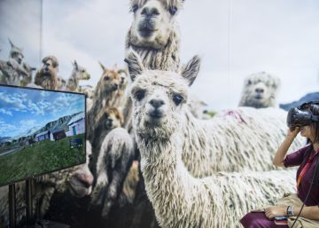 Momento de la primera Exposici&oacute;n Internacional de Importaciones de China (CIIE, por sus siglas en ingl&eacute;s), celebrada a principios de noviembre de 2018 en Shangh&aacute;i.